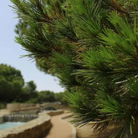 паркемар Apartamento Torrevieja